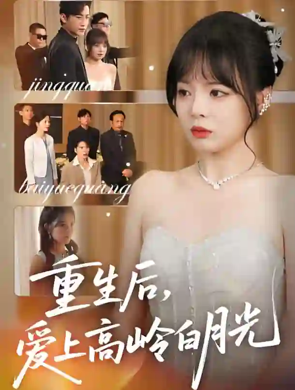 重生后爱上高岭白月光